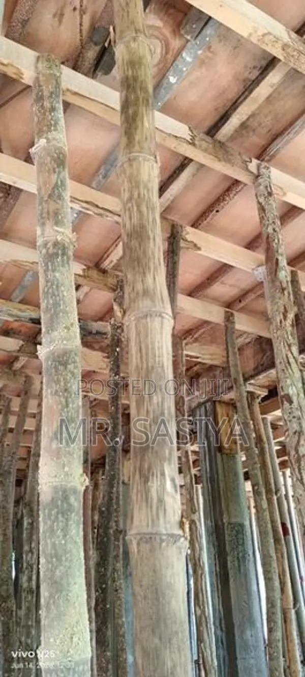 වර්ග අඩි 3000 ක සැටලිම