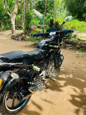 Bajaj Pulsar 150 2011