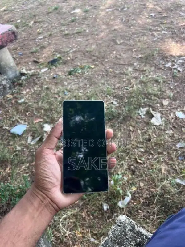 Samsung Galaxy S25 Ultra (Used)