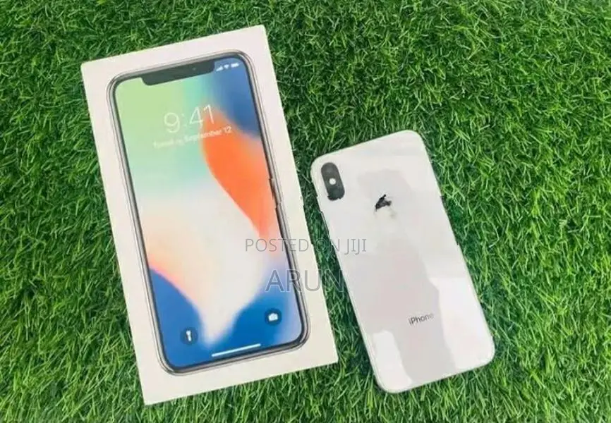 Apple iPhone X 256GB (Used)