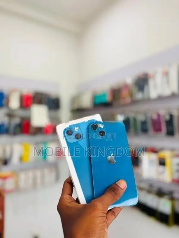 Apple iPhone 13 256GB (Used)