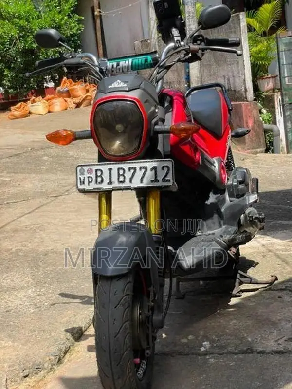 Honda Navi 2019