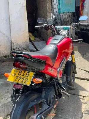 Honda Navi 2019