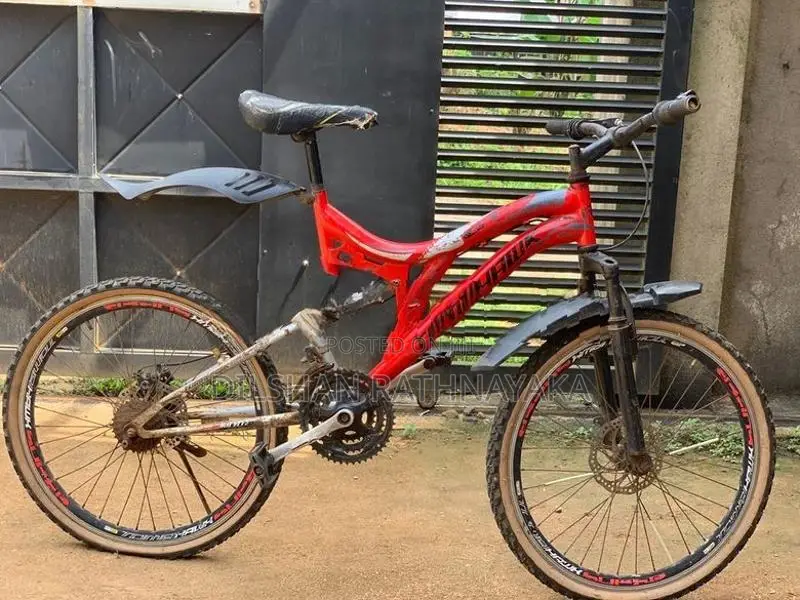 Bicycle