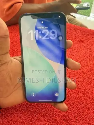 Apple iPhone 12 Pro Max (Used)