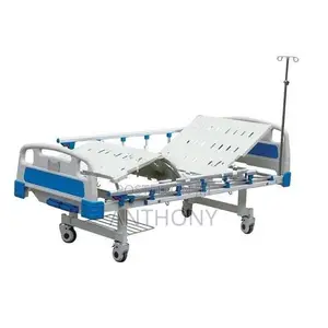 Two Function Icu Bed With Mattress