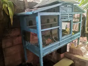 Bird Cage