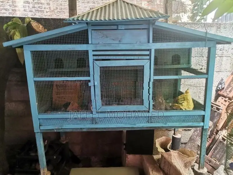Bird Cage