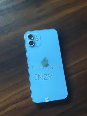 Apple iPhone 12 256 GB (Used)