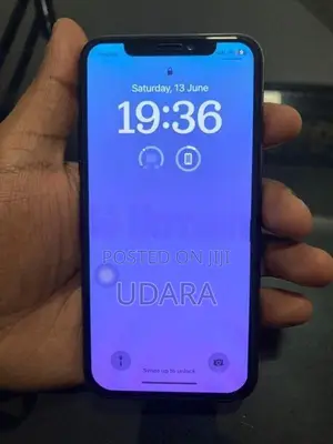 Apple iPhone X (Used)