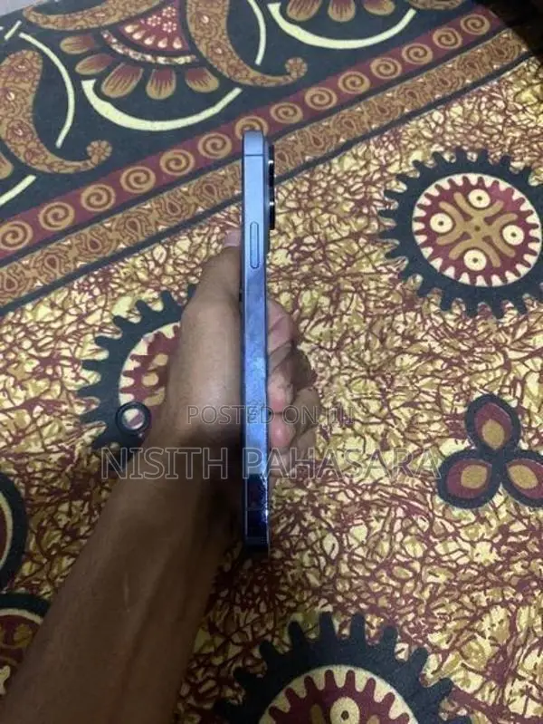 Apple iPhone 13 Pro Max (Used)