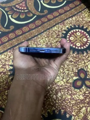 Apple iPhone 13 Pro Max (Used)