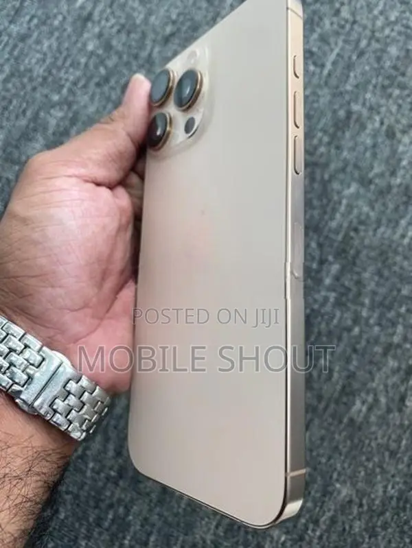 Apple iPhone 16 Pro Max (Used)