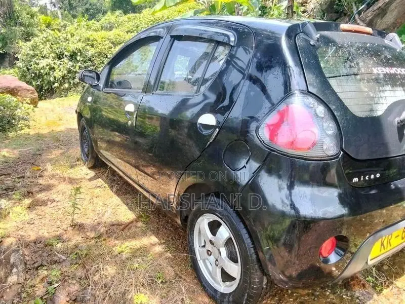 Micro Panda 2011