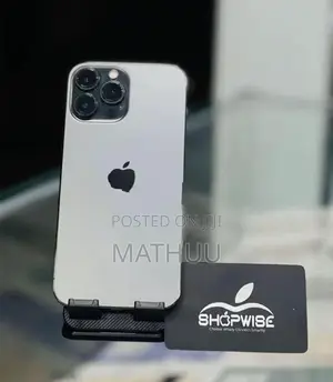 Apple iPhone 13 Pro Max (Used)