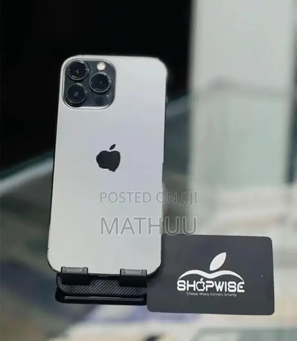 Apple iPhone 13 Pro Max (Used)