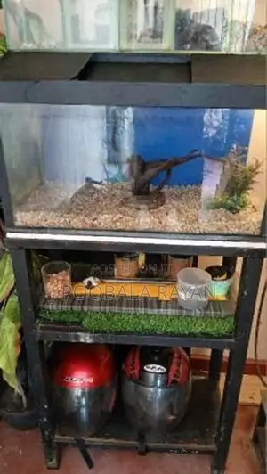 2 feet Fish tank for Sale