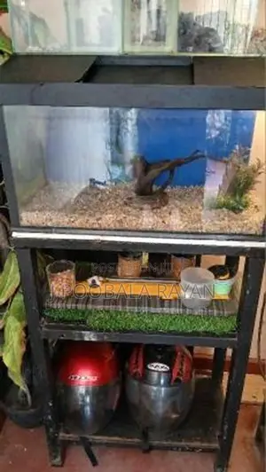 2 feet Fish tank for Sale