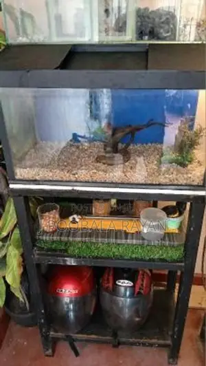 2 feet Fish tank for Sale