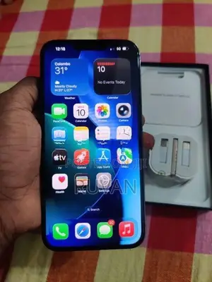Apple iPhone 13 Pro Max (Used)