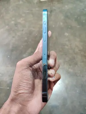 Apple iPhone 13 Pro Max (Used)