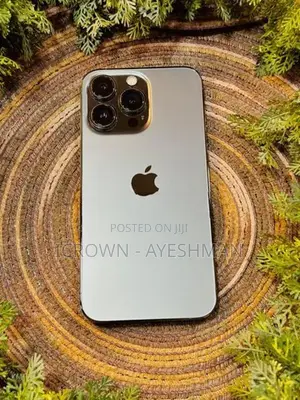 Apple iPhone 13 Pro 256GB (Used)