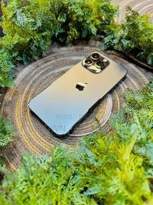 Apple iPhone 13 Pro 256GB (Used)