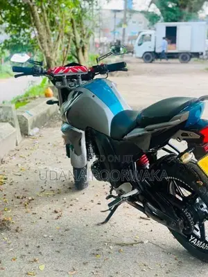 Yamaha FZs V2 2019