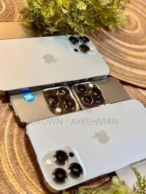 Apple iPhone 13 Pro Max 256GB (Used)