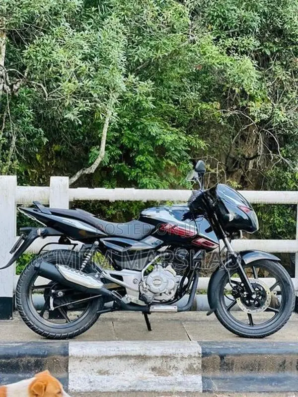Bajaj Pulsar 150 2013