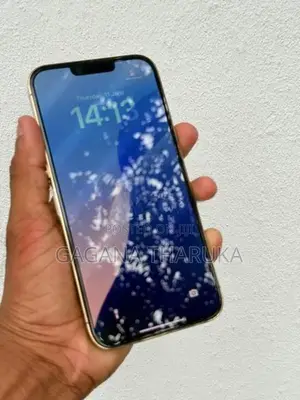 Apple iPhone 13 Pro Max (Used)