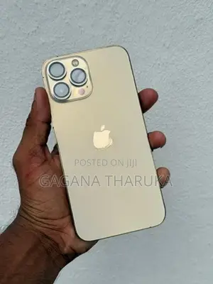 Apple iPhone 13 Pro Max (Used)