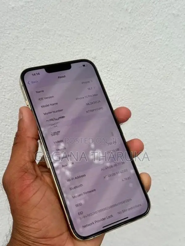 Apple iPhone 13 Pro Max (Used)