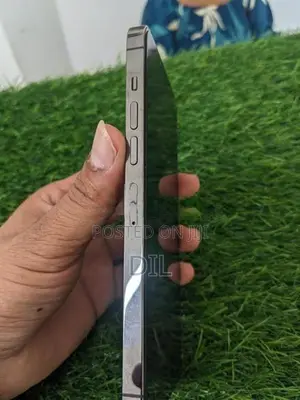 Apple iPhone 13 Pro Max 256GB (Used)