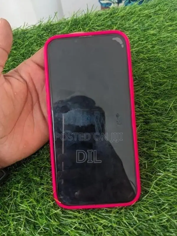 Apple iPhone 13 Pro Max 256GB (Used)