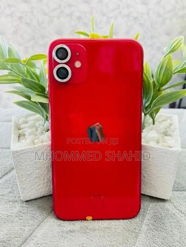 Apple iPhone 11 (Used)