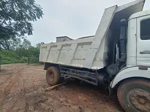 Tata 1615 2006