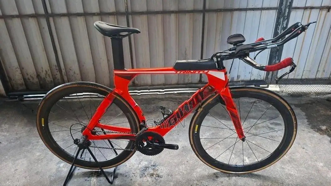 Giant Carbon Tt