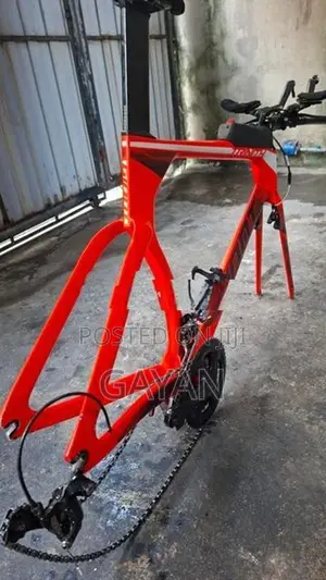 Giant Carbon Tt