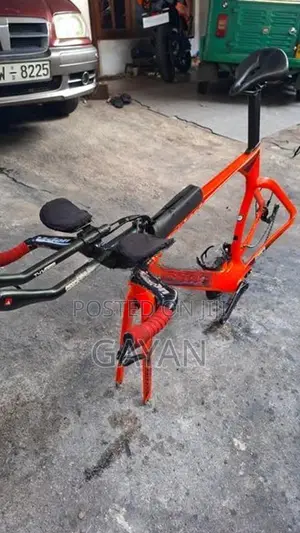 Giant Carbon Tt