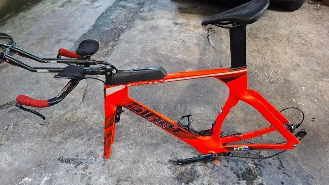 Giant Carbon Tt