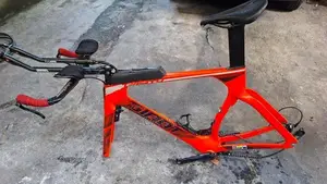 Giant Carbon Tt