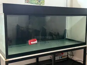 Fish Tank