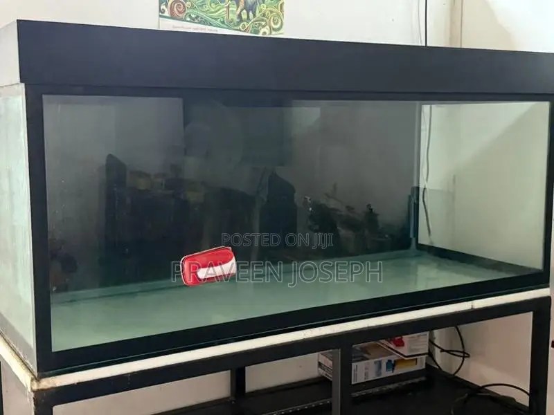 Fish Tank
