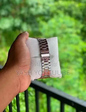 Omega Steel Watches
