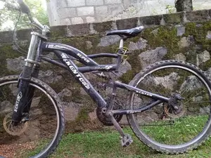 Kenton Bicycle