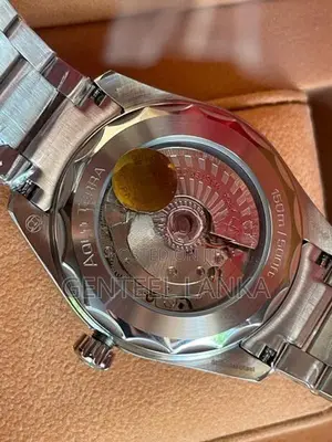 Omega Seamaster Aqua Terra Mens Watch