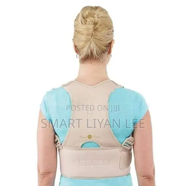 Royal Posture back support belt pain Relief