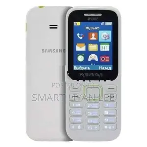 Samsung B310E Dual Sim (Brand New)