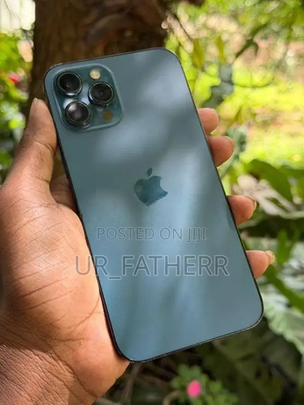 Apple iPhone 12 Pro Max 128GB (Used)